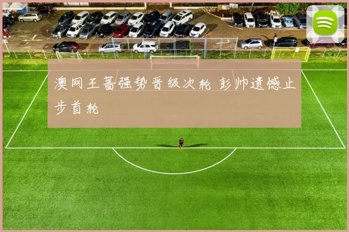 澳网王蔷强势晋级次轮 彭帅遗憾止步首轮