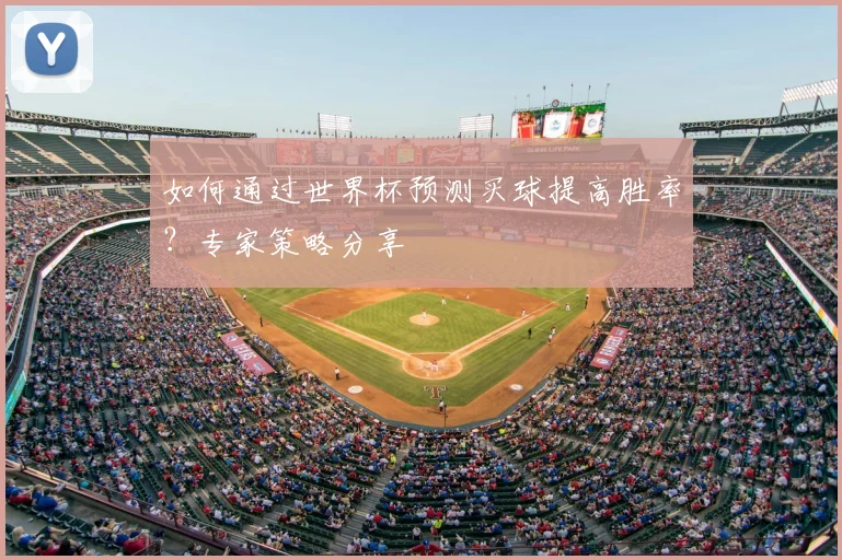 如何通过世界杯预测买球提高胜率?专家策略分享