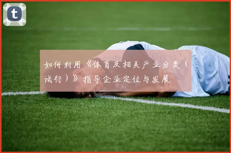 如何利用《体育及相关产业分类(试行)》指导企业定位与发展